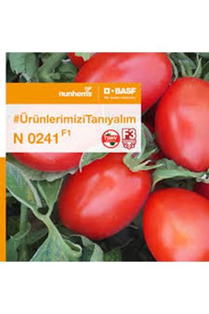 N 0241 F1 DOMATES TOHUMU
