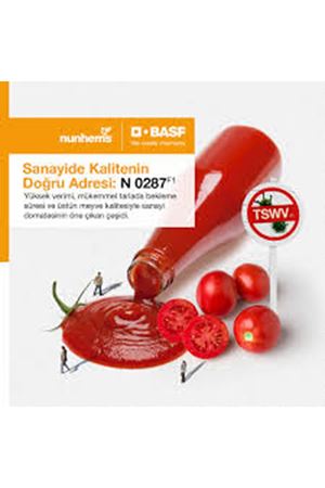 N 0287 F1 DOMATES TOHUMU