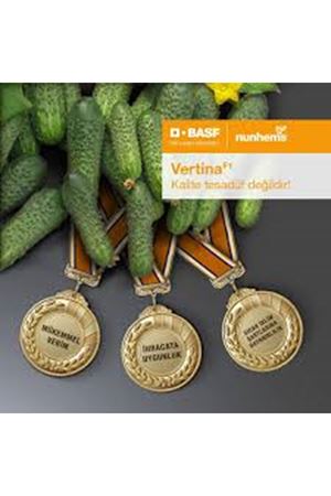 VERTİNA F1 TURŞULUK HIYAR TOHUMU