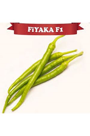 FİYAKA F1 SİVRİ BİBER TOHUMU 