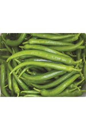 ASSİA F1 SİVRİ BİBER TOHUMU