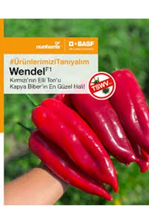 NUNHEMS  WENDEL F1 KAPYA BİBER TOHUMU