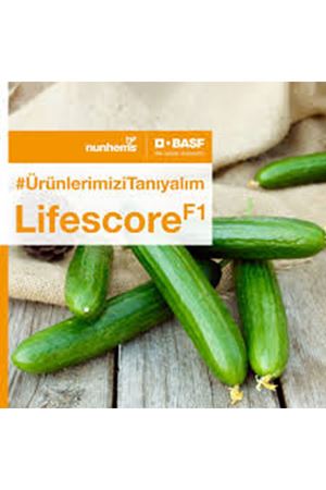 LİFESCORE F1 SIRIK HIYAR TOHUMU 