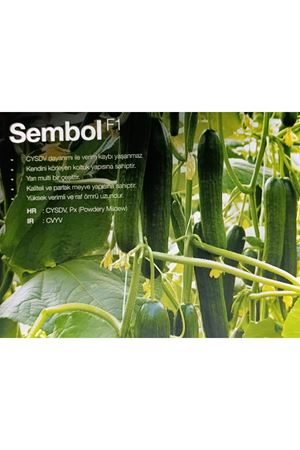 NUNHEMS SEMBOL F1 SIRIK HIYAR TOHUMU