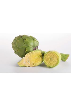 MADRİGAL F1 ENGİNAR TOHUMU