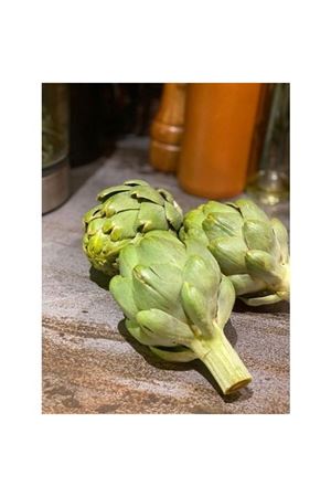 GREEN TRİUMPH F1 ENGİNAR TOHUMU