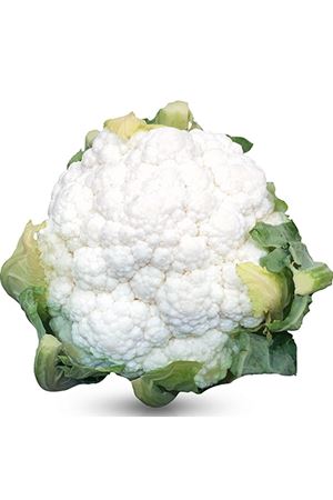 MARMOREX F1 ERKENCİ KARNABAHAR TOHUMU