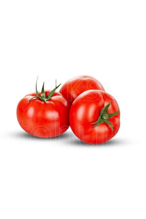 MEHTAP F1 OTURAK DOMATES TOHUMU