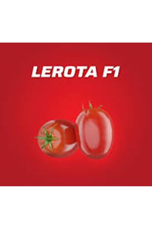 LEROTA F1 DOMATES TOHUMU
