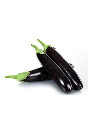 KARTAL F1 UZUN PATLICAN TOHUMU