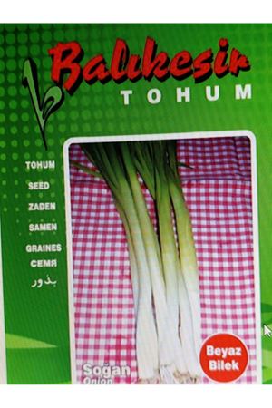  BEYAZ BİLEK TAZE SOĞAN TOHUMU 500 GRAM AMBALAJ KDV DAHİL ADET FİYATI