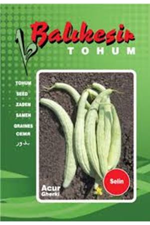 SELİN ACUR TOHUMU 100 GRAM AMBALAJI KDV DAHİL ADET FİYATI