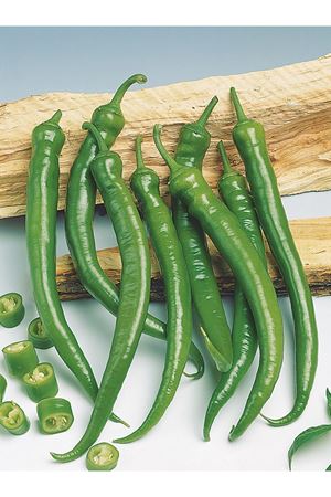 DEMRE SİVRİSİ BİBER TOHUMU 10 GRAM AMBALAJ KDV DAHİL ADET FİYATI 