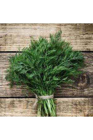 25 GRAM AMBALAJ ALTIN TOHUM DEREOTU TOHUMU KDV DAHİL ADET FİYATI