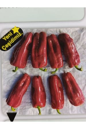 25 GRAM AMBALAJ BT ŞAHİN 016 BİBER TOHUMU KDV DAHİL ADET FİYATI