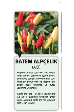 10 GRAM BATEM ALPÇELİK  ACI BİBER TOHUMU KDV DAHİL ADET FİYATI