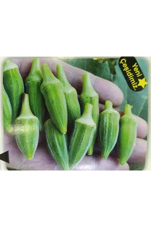 25 GRAM AMBALAJ BT JAPON BAMYA TOHUMU KDV DAHİL ADET FİYATI 