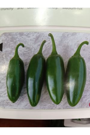 10 GRAM AMBALAJ BT JALAPENO ACI BİBER TOHUMU KDV DAHİL ADET FİYATI 