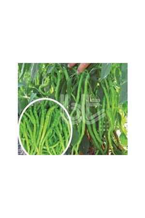 10 GRAM BT BURKALEM İNCE SİVRİ TATLI  BİBER TOHUMU KDV DAHİL ADET FİYATI  