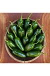 Jalastar F1 Acı Jalapeno Biber Tohumu
