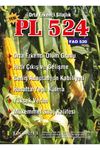 Pl 524 Mısır Tohumu