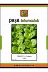 Semizotu Tohumu