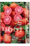 Heinz 9661  Domates  Tohumu