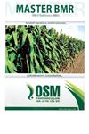Master Bmr Hibrit Sudan Otu