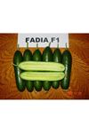 Fadia F1 Hıyar Tohumu