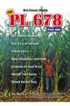 Macha ( Pl 678 ) Mısır Tohumu