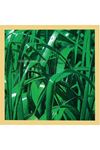 Brauilo Ryegrass Tohumu