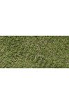 Agrostis Tenius Çim Tohumu