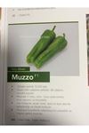 Muzzo F1 Köy Biberi Tohumu
