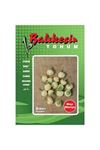 BALIKESİR TOHUM  MİSYA (BİBERİYE ) BİBER TOHUMU