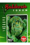 BALIKESİR TOHUM YEDİKULE 5701 TOHUMU