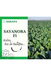 SAYANORA F1  ISPANAK TOHUMU