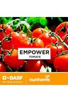 ENPOWER F1 DOMATES ANACI  TOHUMU