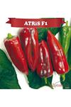 ATRİS F1 KAPYA BİBER TOHUMU