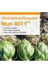 NUN 4011 F1 ENGİNAR TOHUMU
