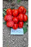 AKİKO F1 SANAYİ TİPİ DOMATES TOHUMU