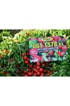 UGT 1578 F1 SANAYİ TİPİ DOMATES TOHUMU 