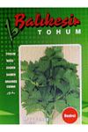 BEZİRCİ MAYDANOZ TOHUMU 1 KG AMBALAJ