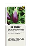 25 GRAM AMBALAJ BT ANTEP PATLICAN (KADİFE) TOHUMU KDV DAHİL ADET FİYATI