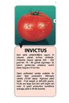 10 GRAM AMBALAJ İNVİCTUS DOMATES TOHUMU KDV DAHİL ADET FİYATI